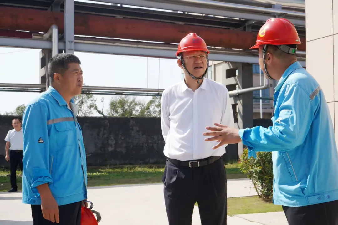 1760061744219763.jpg 1760061744219763.jpg